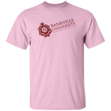 BankVille University Shirt