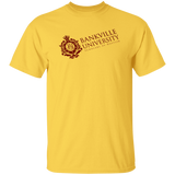 BankVille University Shirt