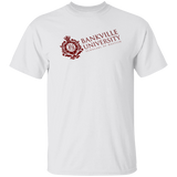 BankVille University Shirt